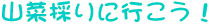 R؍̂ɍsI