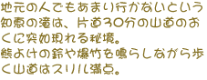 n̂ЂƂł܂sȂƂumb̑v