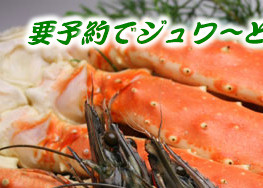 �v�\��ŃW�����`�ƌ���I�I